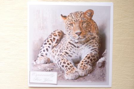 Chillin Out 8x8 Topper by Rosina Walker