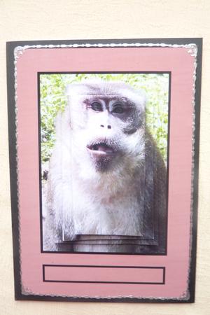 Cute Monkey Quick Card by Rosina Walker