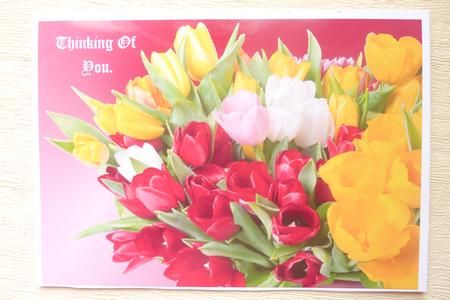 A4 Tulips by Rosina Walker