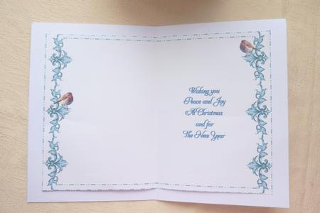 Christmas Robin Insert Turquoise by Rosina Walker