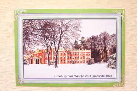 Cranbury Park, Winchester, Hampshire in 1875 by Rosina Walker