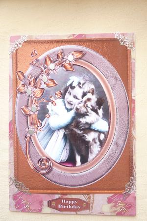 Best Friends by Rosina Walker