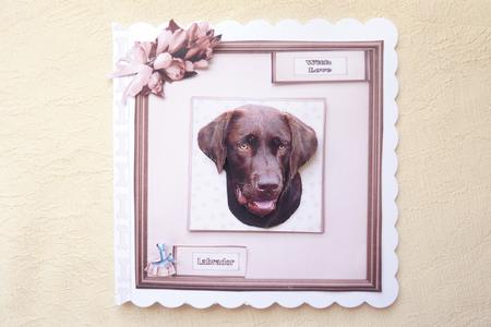 Chocolate Labrador Portrait 3D Decoupage by Rosina Walker