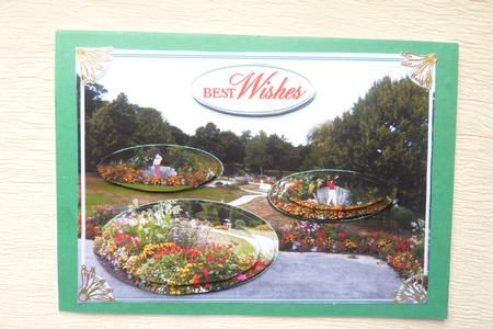 Anyone for Minigolf? by Rosina Walker