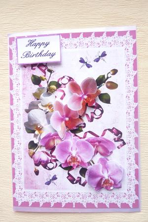 Birthday Orchids in the Pink by Rosina Walker
