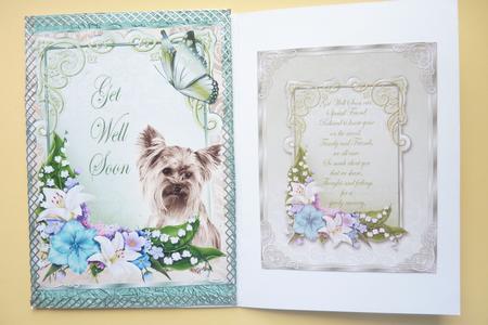 Get Well Soon - to a Special Friend by Rosina Walker