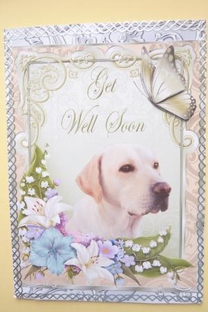 Get Well - to a Special Friend #2 by Rosina Walker