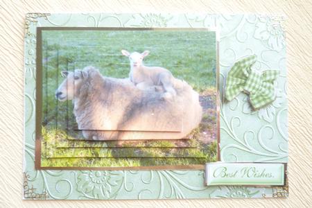 Sheep with Little Lamb Snuggled Up to Her,pyramids by Rosina Walker
