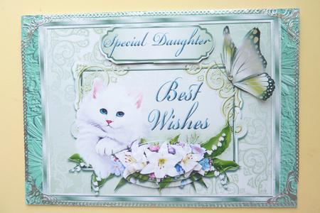 Lovely Puss and Floral -various Occasions by Rosina Walker