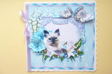 Pete the Cat ! by Rosina Walker