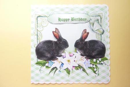 Cute Grey Bunnies in a Flower Frame with Butterflies by Rosina Walker