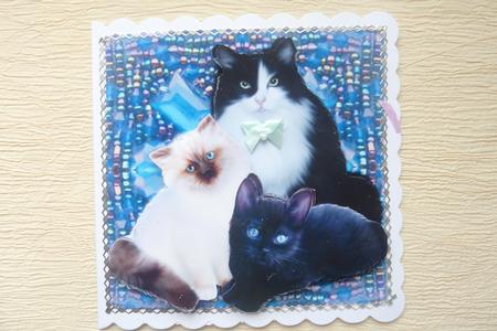 Fluffy's Family Step by Step by Rosina Walker