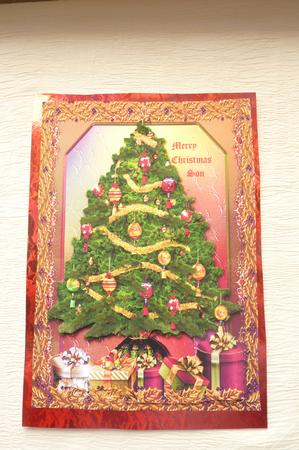 Beautiful Green Christmas Tree by Rosina Walker