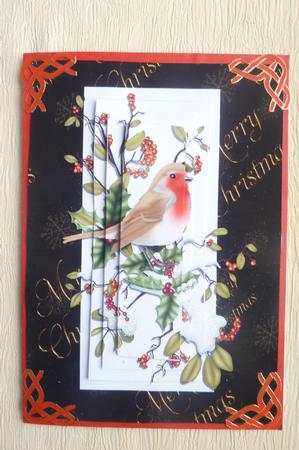 Traditional Robin by Rosina Walker