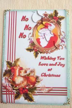 Christmas Joy by Rosina Walker