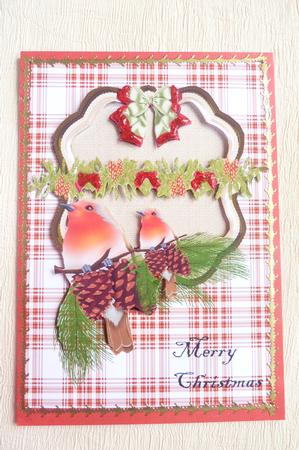 Robin's Christmas by Rosina Walker