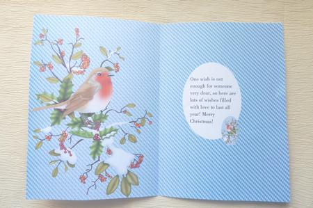Christmas Robin A4 Background by Rosina Walker