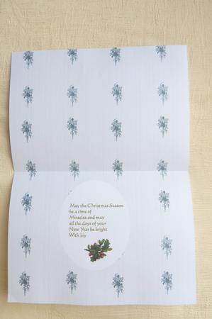 Simply Elegant Backing 2 by Rosina Walker