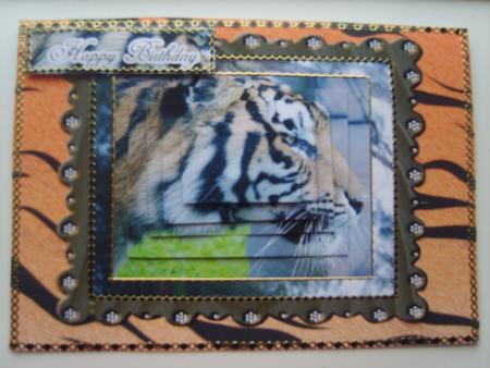Big Cats Day Out Pyramid by Rosina Walker