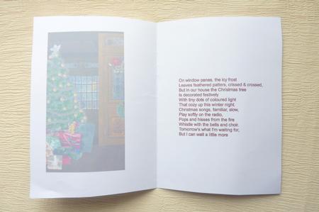 Christmas Rooms Two Insert by Rosina Walker