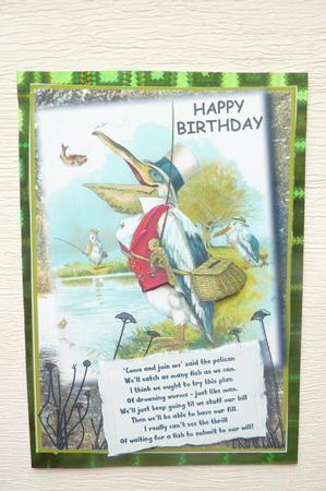 The Pelican Can by Rosina Walker