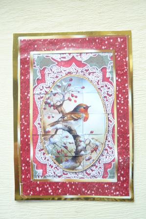 Robin 1 Lace 7x5inch 3D Paper Weaving Sheet by Rosina Walker
