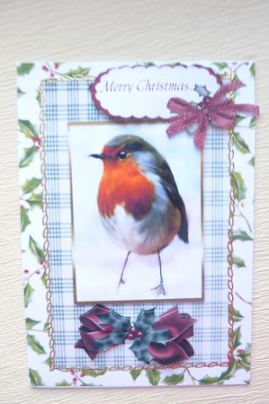 Christmas Red Red Robin 3 by Rosina Walker