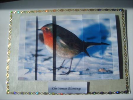 Robin in the Snow by Rosina Walker