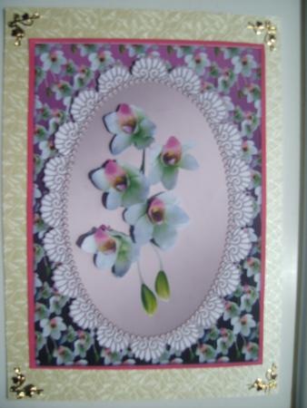 Lace Framed Camelias by Rosina Walker