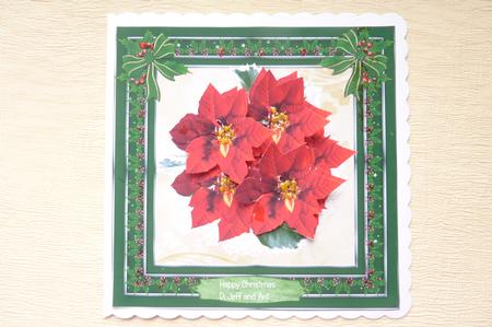 Red Poinsettias by Rosina Walker