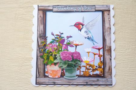 Hummingbird at Window 8 x 8 Card by Rosina Walker