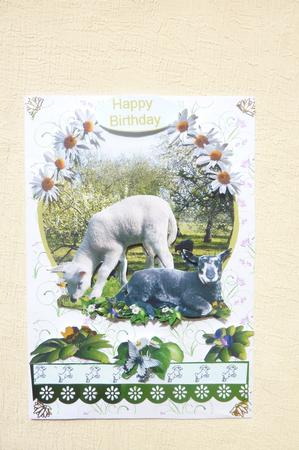 Sheeps in Orchard by Rosina Walker