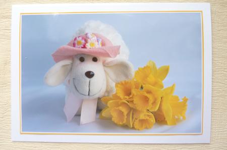 Cute Spring Lamb! by Rosina Walker