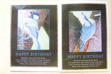 Garden Bird Birthday Quick Card by Rosina Walker