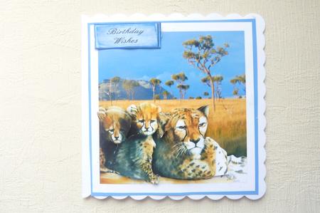 Lying in the Sun Quick Card by Rosina Walker