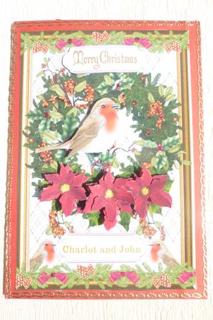 Pretty Robin Decoupage Card Front by Rosina Walker