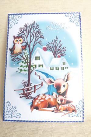 Deer with Snow Cottage Christmas Scene A4 by Rosina Walker