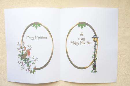 Insert - Robin and Lampost by Rosina Walker