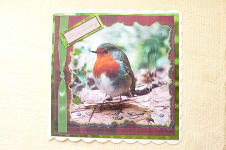 Robin Redbreast by Rosina Walker