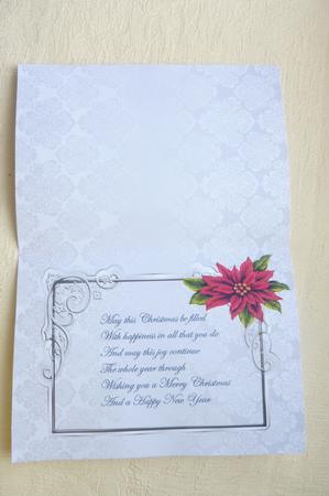 Poinsettia Christmas Insert by Rosina Walker