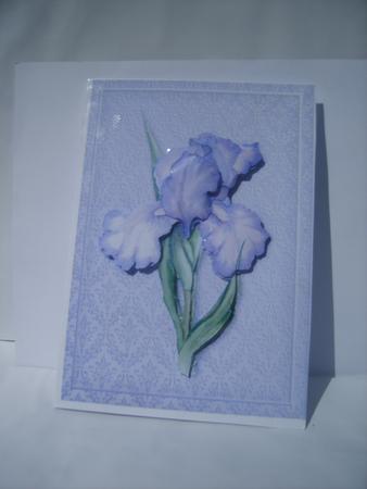 Purple Iris Card Front by Rosina Walker