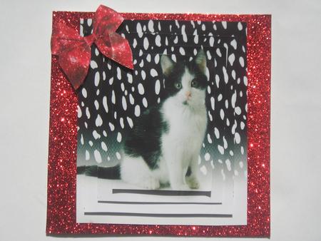 Kitty in the Snow,pyramid by Rosina Walker