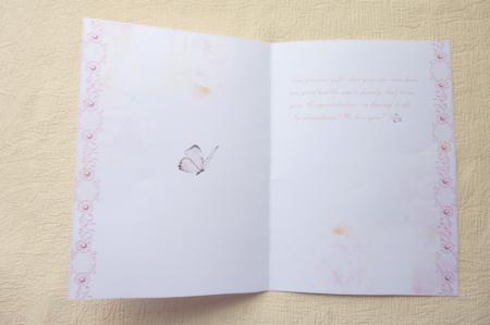 Blank Flowers & Butterfly Insert by Rosina Walker