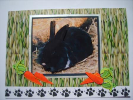 Lionhead Rabbit 3D Decoupage by Rosina Walker