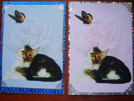 Purrfect 2 Quick Card Front by Rosina Walker