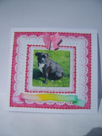 Bella Staffordshire Dog Happy Birthday! Quick Pyramid Card by Rosina Walker