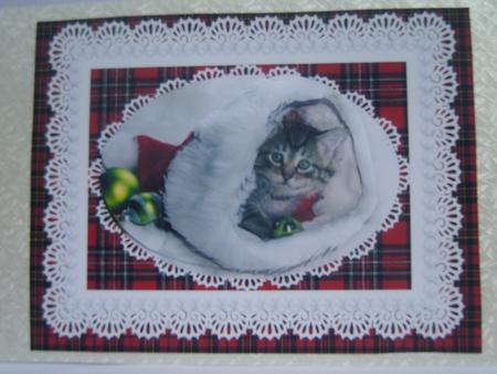 Santa's Little Helper Kitty Cat in Hat Decoupage Card by Rosina Walker