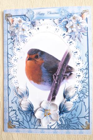 The Christmas Robin Card Front by Rosina Walker