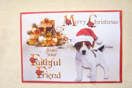 Merry Christmas from the Dog - Jack Russell by Rosina Walker