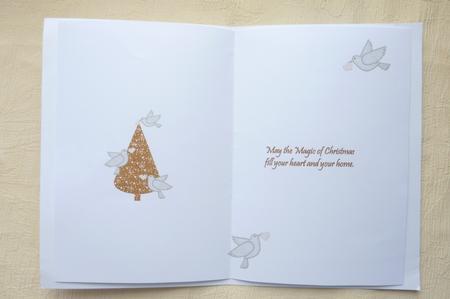 Dove Hearts Christmas Magic by Rosina Walker